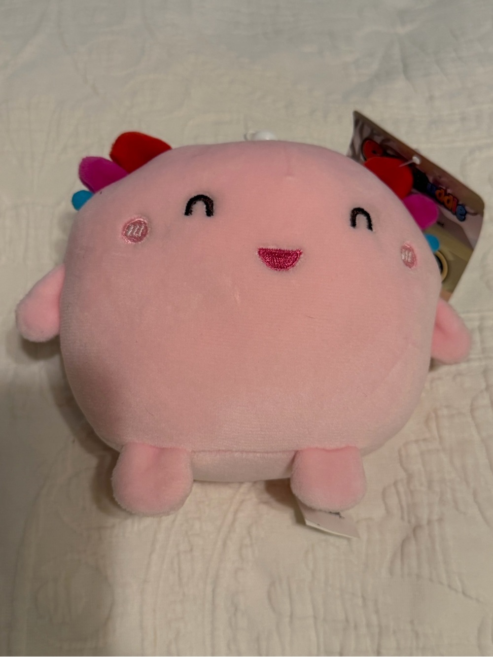 2 for$5✨Cutie Buddie Pink Axolotl Plush Key Chain 6 Inch